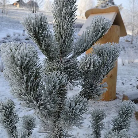 Horská chata Lesniowka W Karpaczu Karpacz