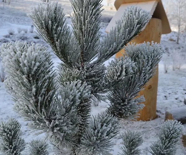 Alpstuga Lesniowka W Karpaczu Karpacz