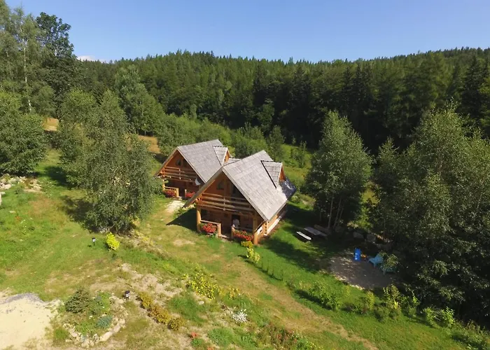 Leśniówka W Karpaczu Domek alpejski *